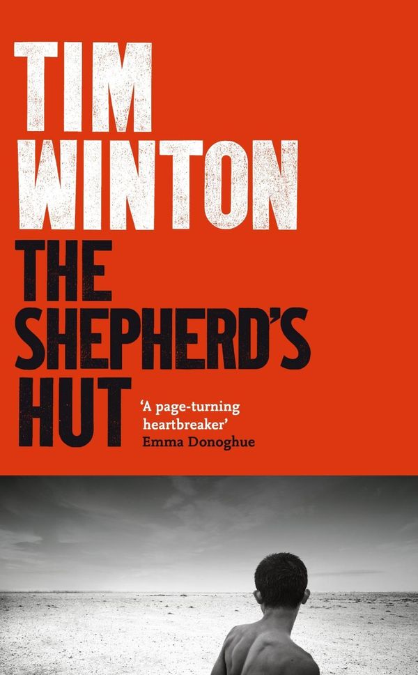 Cover Art for 9781509863853, The Shepherd's Hut by Tim Winton