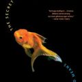 Cover Art for 9780007164905, The Secret Goldfish by David Means