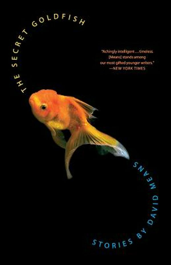 Cover Art for 9780007164905, The Secret Goldfish by David Means