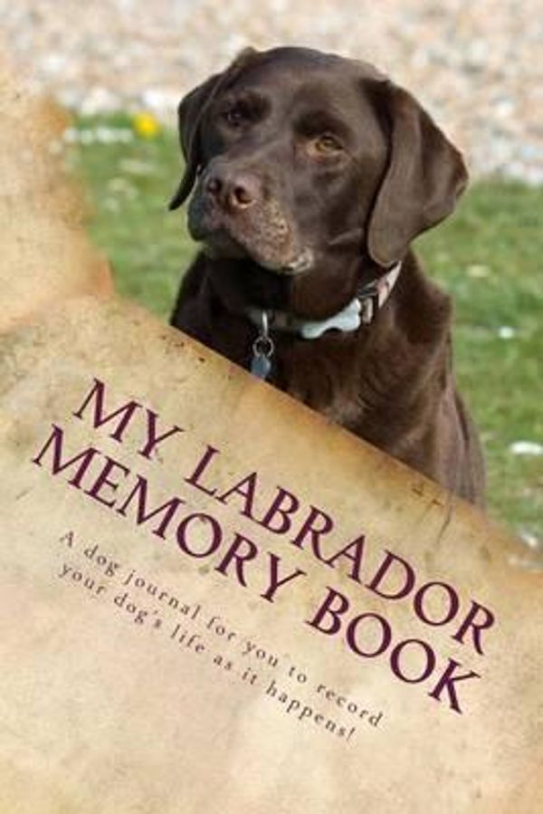 Cover Art for 9781493533084, My Labrador Memory Book by Debbie Miller