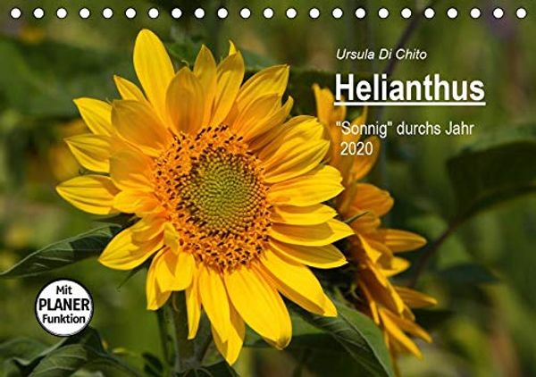 Cover Art for 9783670738268, Helianthus (Tischkalender 2020 DIN A5 quer): Sonnenblumen-Impressionen - Makroaufnahmen (Geburtstagskalender, 14 Seiten ) by Di Chito, Ursula