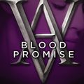 Cover Art for 9781101138946, Blood Promise by Richelle Mead