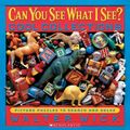 Cover Art for 9780439617727, Can You See What I See? by Walter Wick