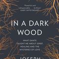 Cover Art for 9780008100643, In a Dark Wood: What Dante Taught Me About Grief, Healing, and the Mysteries of Love by Joseph Luzzi