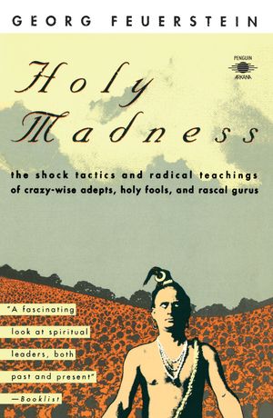 Cover Art for 9780140193701, Holy Madness by Georg Feuerstein