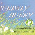 Cover Art for 9780881032154, The Runaway Bunny by Margaret Wise Brown