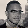 Cover Art for 9781432886158, The Dead Are Arising: The Life of Malcolm X by Les Payne, Tamara Payne