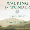 Cover Art for 9781683642879, Walking in Wonder: Eternal Wisdom for a Modern World by O'Donohue, John