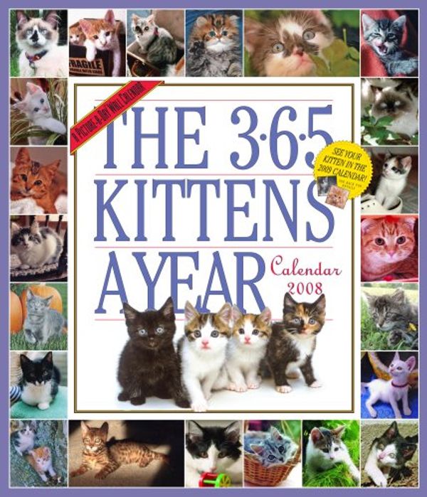 Cover Art for 9780761145554, 365 Kittens by Workman Publishing
