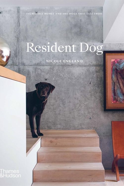 Cover Art for 9781760760847, Resident Dog: Incredible Homes and the Dogs That Live There by Nicole England