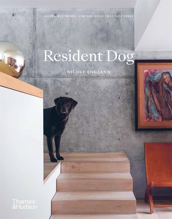 Cover Art for 9781760760847, Resident Dog: Incredible Homes and the Dogs That Live There by Nicole England