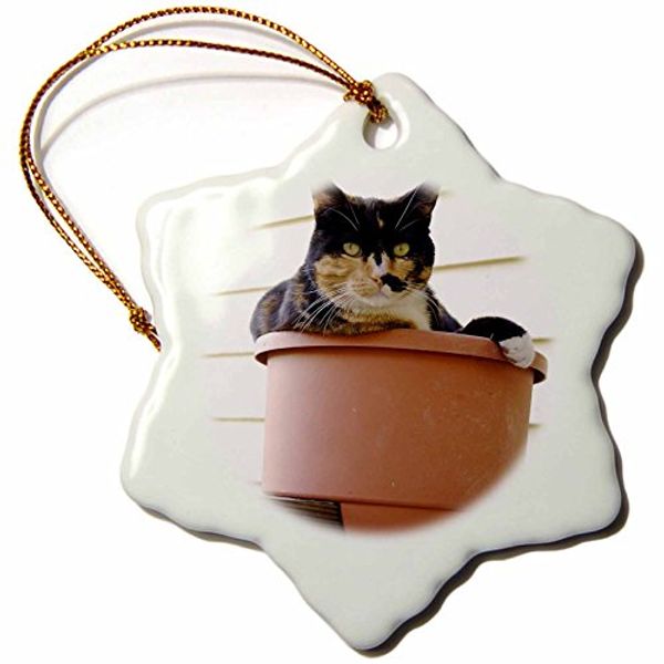 Cover Art for 0483090944018, 3dRose ORN_90944_1 Massachusetts, Greenfield Calico Cat US22 SPE0547 Susan Pease Snowflake Porcelain Ornament, 3-Inch by 