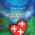 Cover Art for 9781490847498, Why God? by Reverend Charles W. Brice, Sr