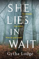 Cover Art for 9780241362976, She Lies in Wait by Gytha Lodge