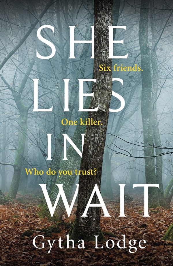 Cover Art for 9780241362976, She Lies in Wait by Gytha Lodge