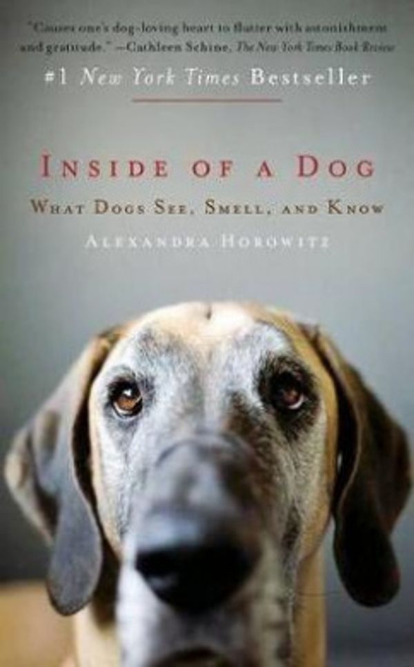 Cover Art for 9781451672756, Inside of a Dog by Alexandra Horowitz