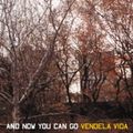 Cover Art for 9780224063845, And Now You Can Go by Vendela Vida
