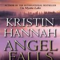 Cover Art for 9780857501530, Angel Falls by Kristin Hannah