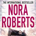 Cover Art for 9781405517829, Dark Witch by Nora Roberts