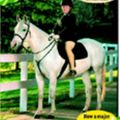 Cover Art for 9781740518406, English Horse + English Rider : The Saddle Club Value Edition by Bonnie Bryant