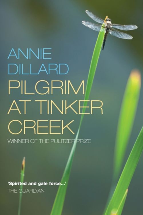 Cover Art for 9781848250789, Pilgrim At Tinker Creek by Annie Dillard