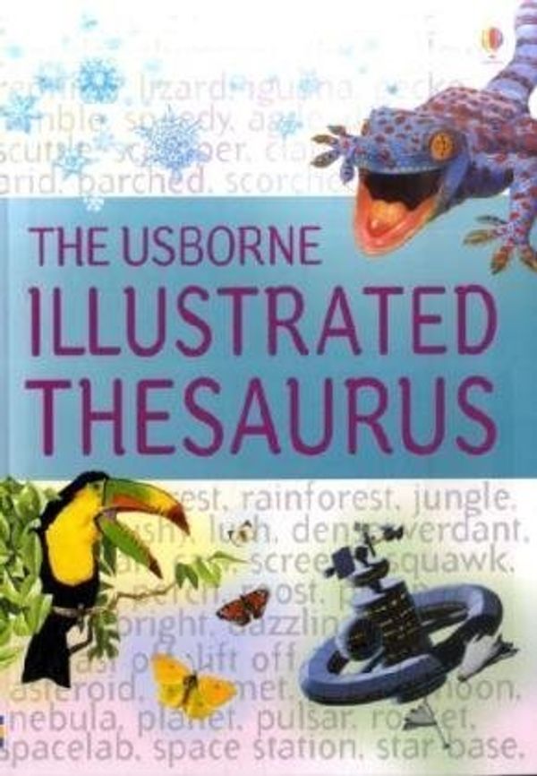 Cover Art for 9780746087169, The Usborne Illustrated Thesaurus by Jane Bingham, Fiona Chandler