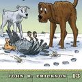 Cover Art for 9781591881131, The Wounded Buzzard on Christmas Eve by John R Erickson