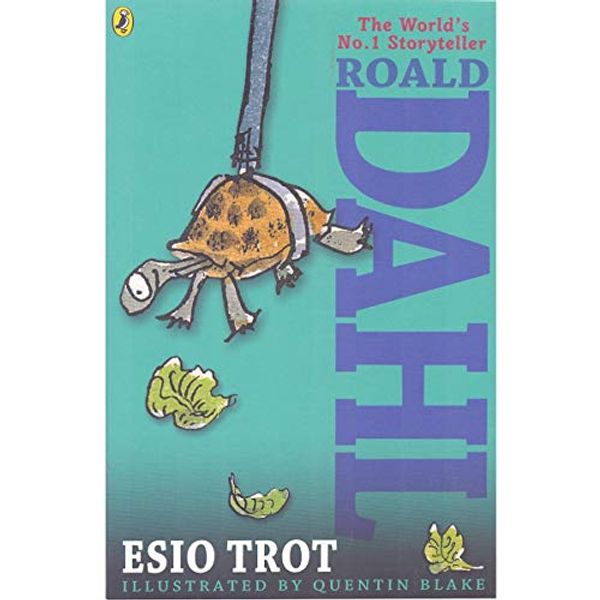 Cover Art for 9780141349855, Roald Dahl Esio Trot by Roald Dahl