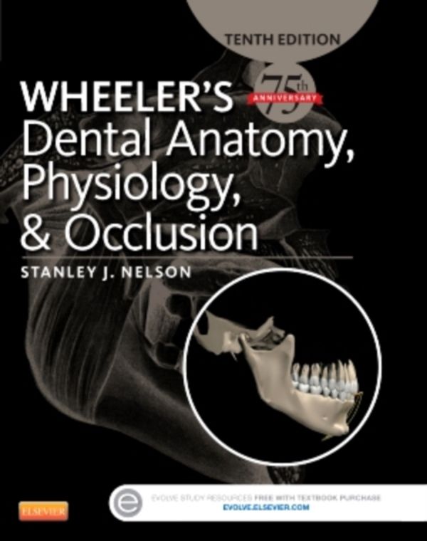 Cover Art for 9780323263238, Wheeler's Dental Anatomy, Physiology and Occlusion, 10th Edition by Stanley J. Nelson