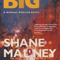 Cover Art for 9781841954011, The Big Ask by Shane Maloney