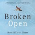 Cover Art for 9781415965108, Broken Open by Elizabeth Lesser