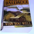 Cover Art for 9780446610100, Wish You Well by David Baldacci