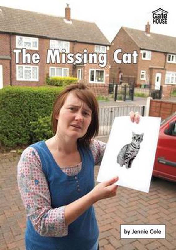 Cover Art for 9781842311059, The Missing Cat (Liz and Joe Series) by Jennie Cole