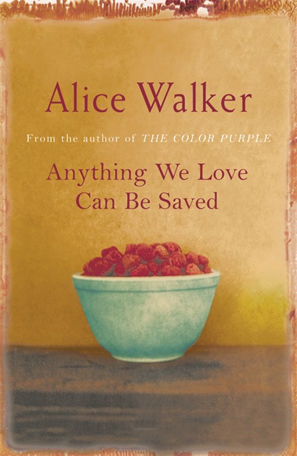 Cover Art for 9781780222998, Anything We Love Can Be Saved by Alice Walker