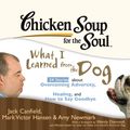 Cover Art for 9781441896735, Chicken Soup for the Soul: What I Learned from the Dog - 34 Stories about Overcoming Adversity, Healing, and How to Say Goodbye by Jack Canfield