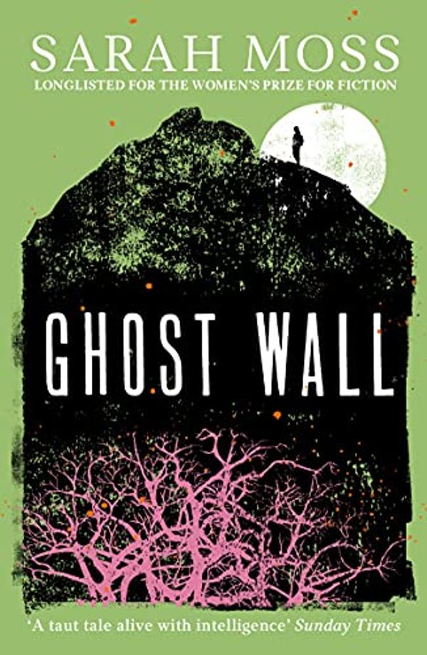 Cover Art for B07HM49HZG, Ghost Wall by Sarah Moss