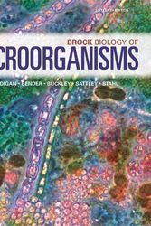 Cover Art for 9780134874401, Brock Biology of Microorganisms by Michael Madigan, Kelly Bender, Daniel Buckley, W. Sattley, David Stahl