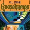 Cover Art for 9780590494458, The Ghost Next Door by R. L. Stine