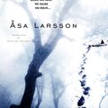 Cover Art for 9780385340786, Sun Storm by Asa Larsson