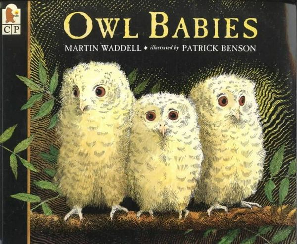 Cover Art for 9780763617103, Owl Babies by Martin Waddell