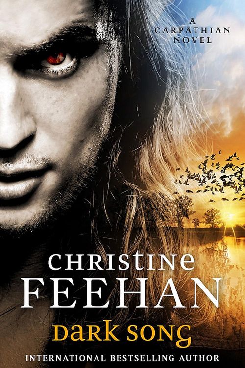 Cover Art for 9780349426754, Dark Song by Christine Feehan