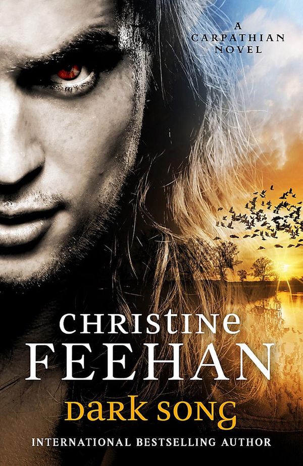 Cover Art for 9780349426754, Dark Song by Christine Feehan