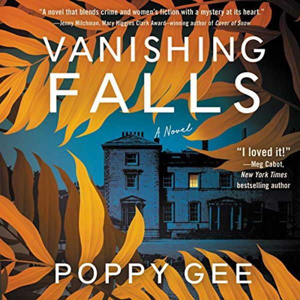 Cover Art for B08BZY4MLQ, Vanishing Falls: A Novel by Poppy Gee