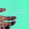 Cover Art for 9785551305101, A Million Little Pieces by James Frey
