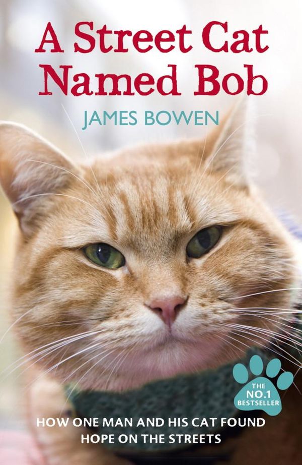 Cover Art for 9781444737134, A Street Cat Named Bob: How one man and his cat found hope on the streets by James Bowen