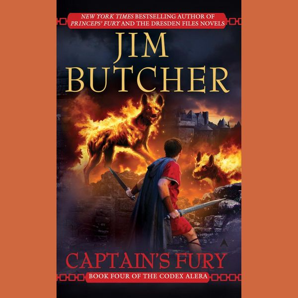 Cover Art for 9781436211383, Captain’s Fury by Ronda Rich