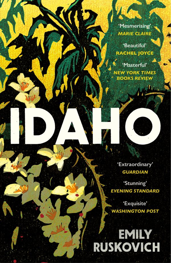 Cover Art for 9780099593959, Idaho by Emily Ruskovich