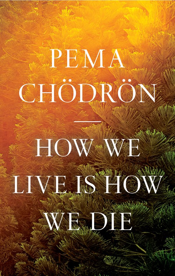 Cover Art for 9781611809244, How We Live Is How We Die by Chödrön, Pema
