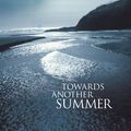 Cover Art for 9780143791058, Towards Another Summer by Janet Frame