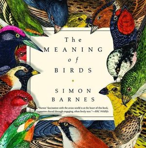 Cover Art for 9781643131399, The Meaning of Birds by Simon Barnes